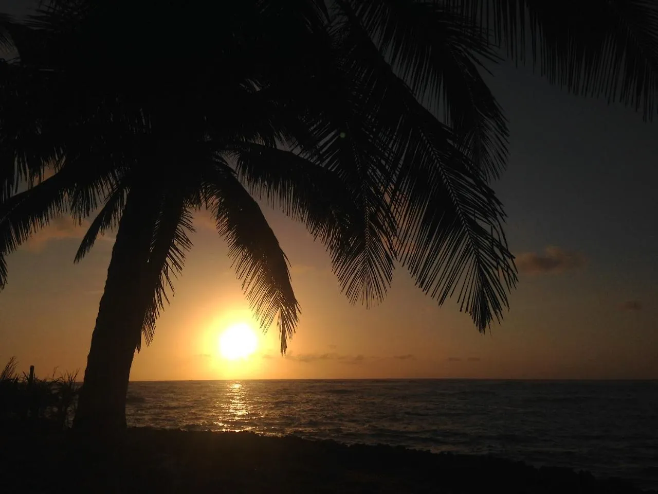 Baoba Breeze Bed & Breakfast- Beachfront Paradise Cabrera