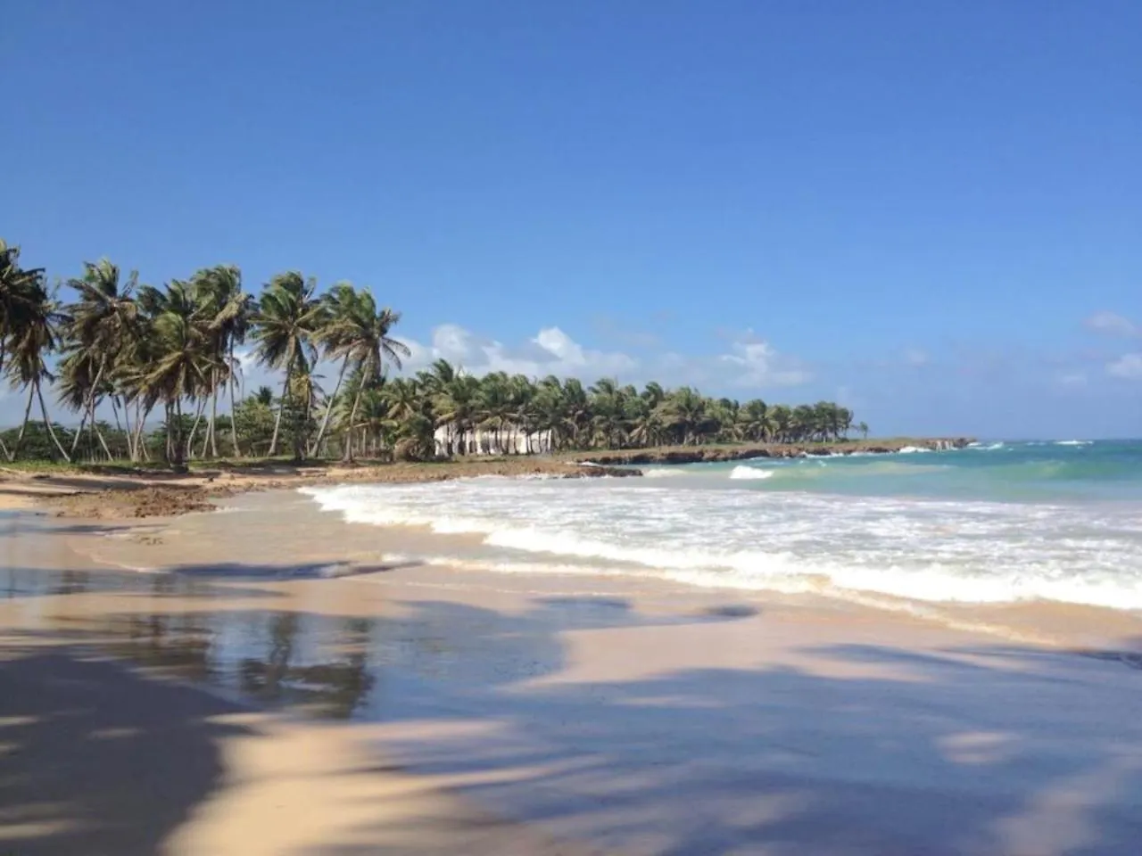 Baoba Breeze Bed & Breakfast- Beachfront Paradise Cabrera
