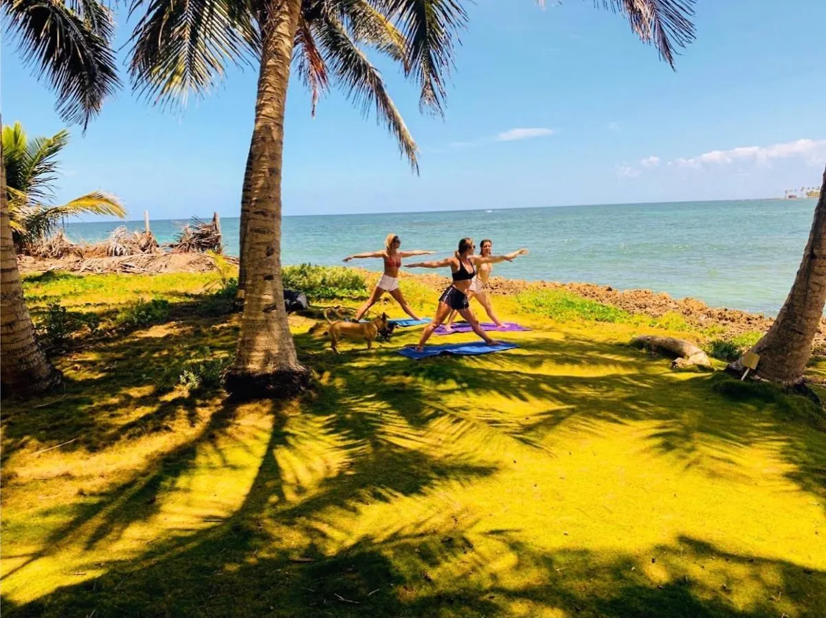 Baoba Breeze Bed & Breakfast- Beachfront Paradise Cabrera 2*,