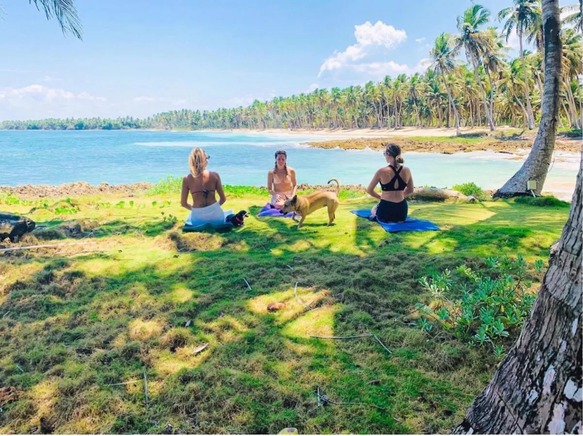 Baoba Breeze Bed & Breakfast- Beachfront Paradise Cabrera