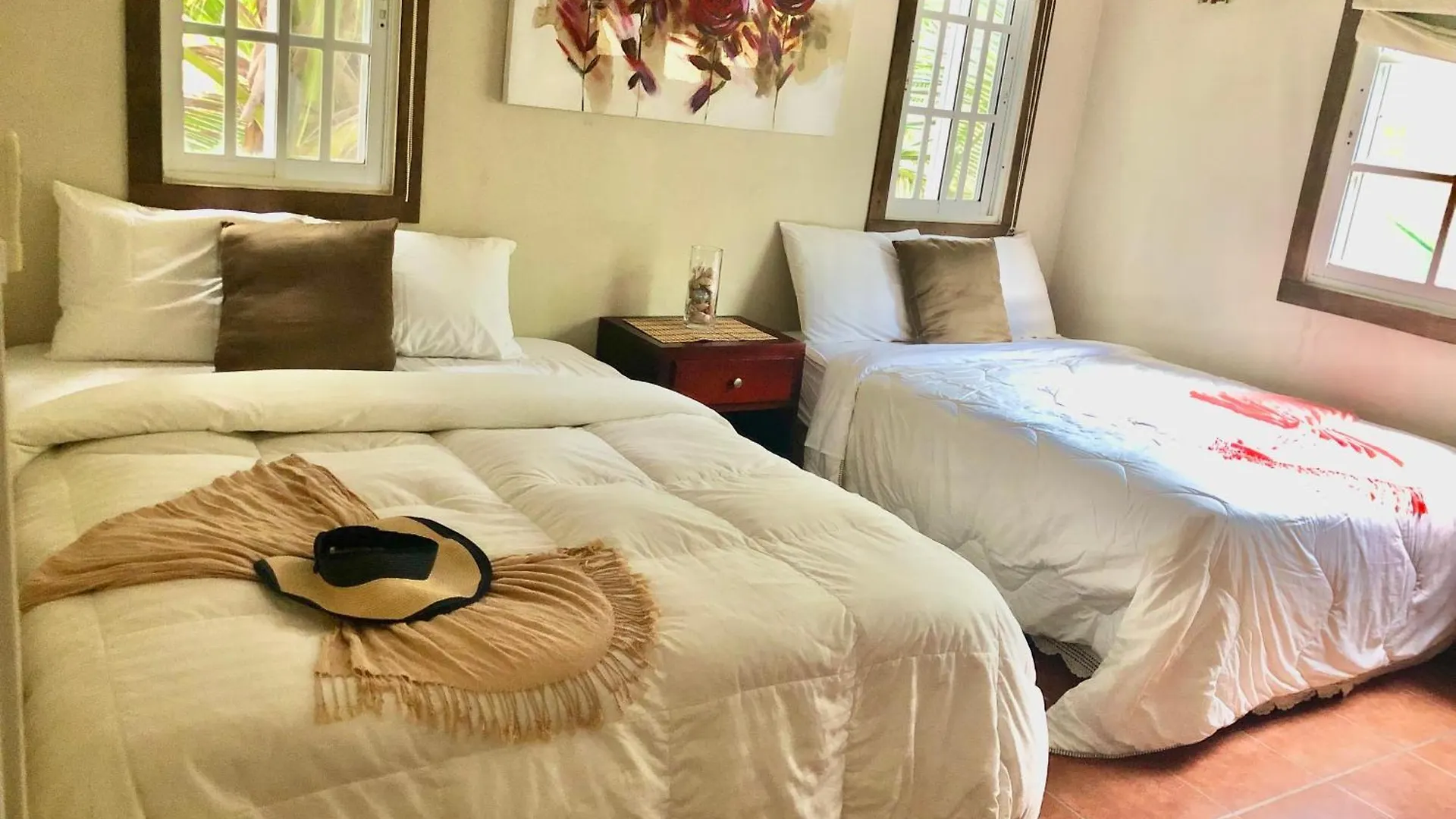 Baoba Breeze Bed & Breakfast- Beachfront Paradise Cabrera