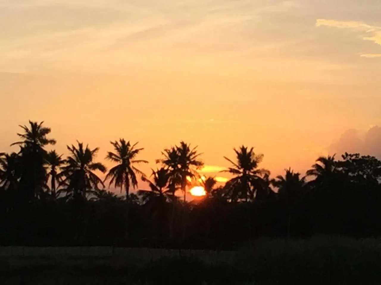 Baoba Breeze Bed & Breakfast- Beachfront Paradise Cabrera